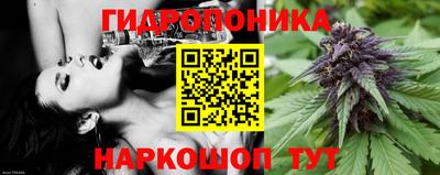 кокаин колумбия Кингисепп